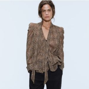 Zara sheer 🐆 blouse